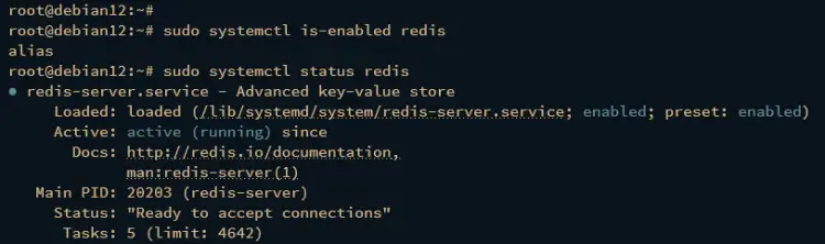 check redis