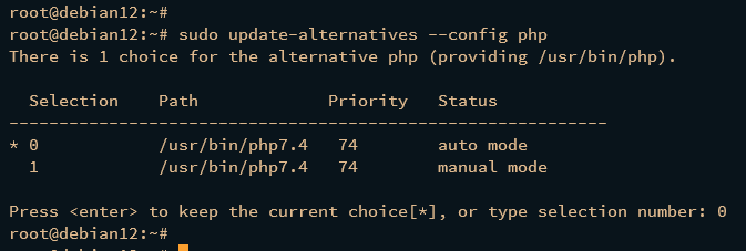 setup php version