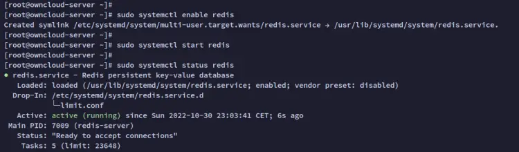 check redis