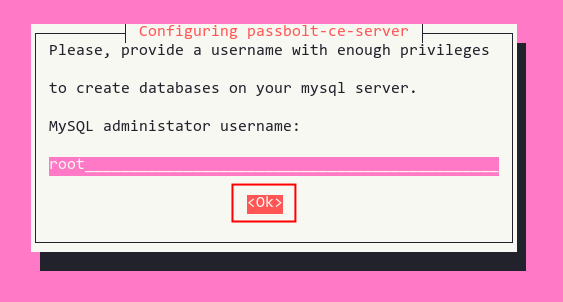 setup mysql