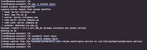 Install Nginx and PHP-FPM