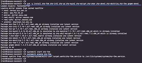 Start php FPM daemon