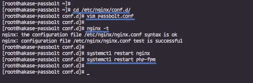 Configure Nginx Virtual Host
