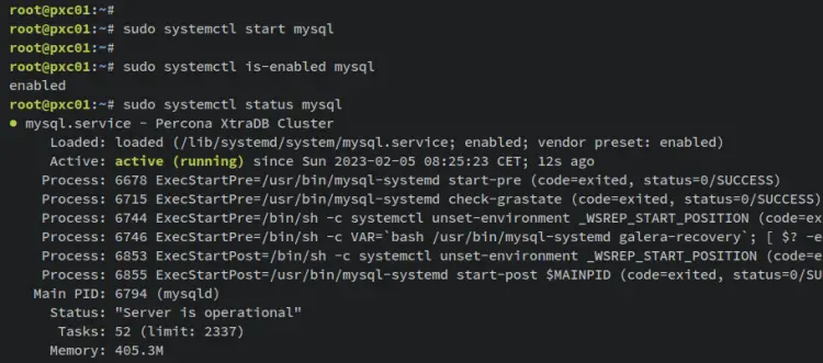 verify mysql