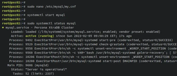 start and verify mysql pxc02