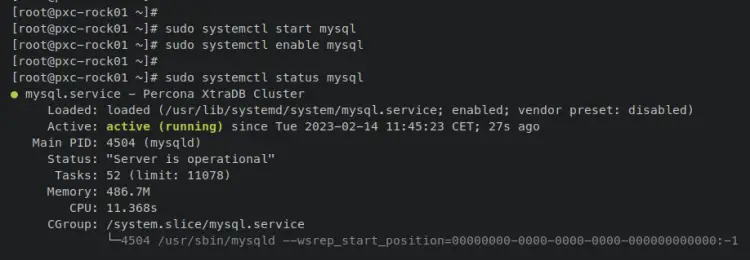 verify mysql service