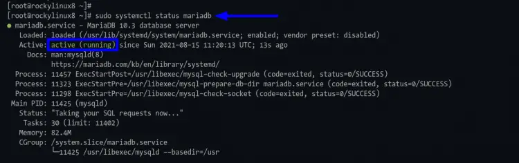 Checking mariadb service status