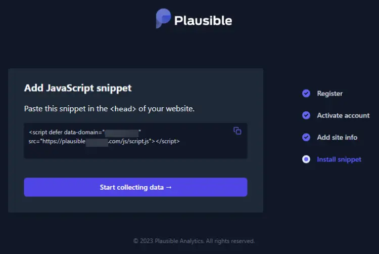 Plausible JavaScript Code