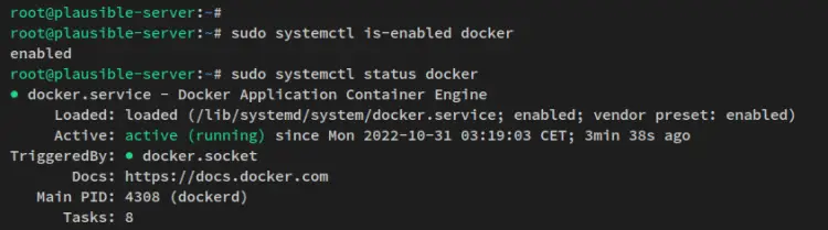 check docker