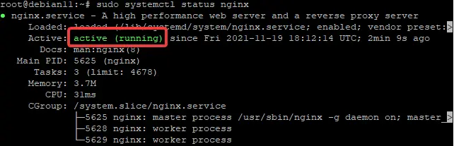 Configuring NGINX Reverse Proxy for Plex