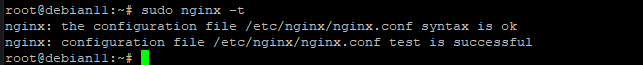 Configuring NGINX Reverse Proxy for Plex