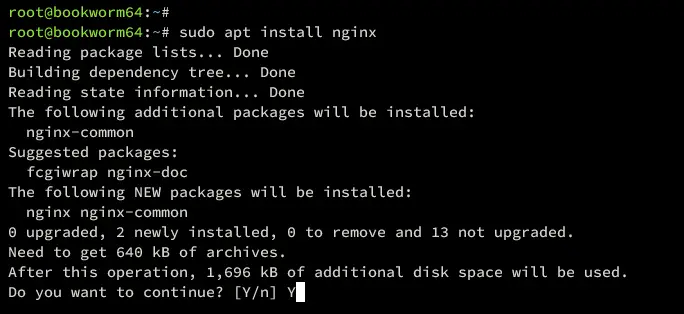 install ngionx