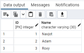 pgAdmin Data View