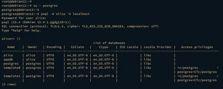 checking database psql