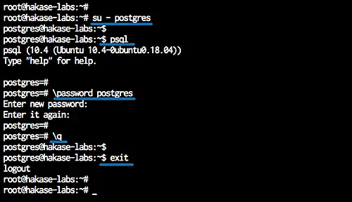 Set a PostgreSQL password