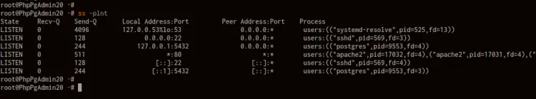 Check Port using ss command