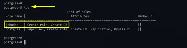 Display PostgreSQL user