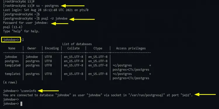 Connect to PostgreSQL shell with johndoe user