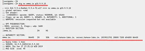 Check zone with dig command