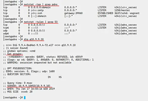 Check PowerDNS status