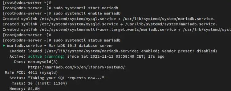 start enable verify mariadb