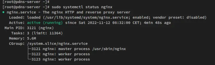 check nginx