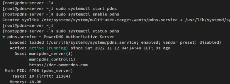 verify pdns service