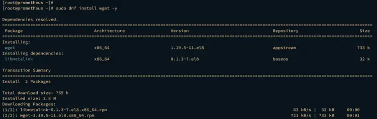 installing wget