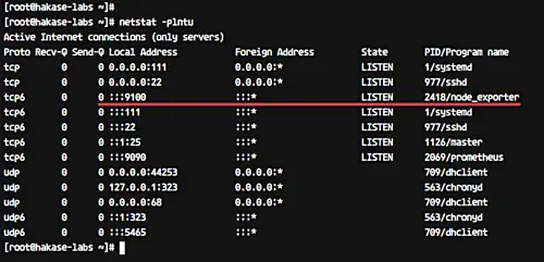 Check node_exporter port