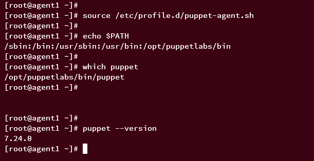 checking puppet agent