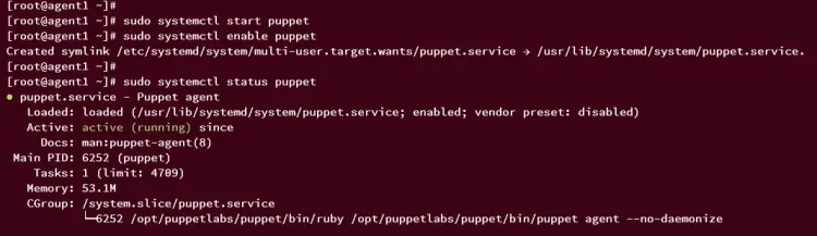 checking puppe service