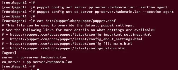 configuring puppet agent