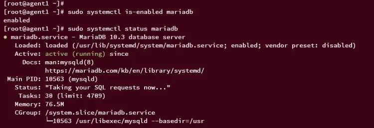 checking mariadb service