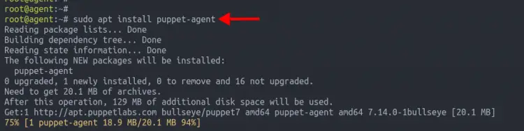 Installing Puppet Agent