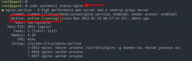 Nginx service status