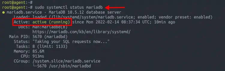 MariaDB service status