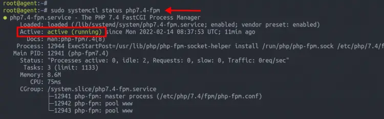 PHP-FPM service status