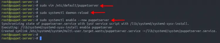 Setup and enable puppetserver