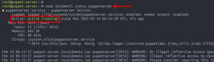 verify puppetserver status