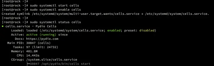 pydio cells systemd