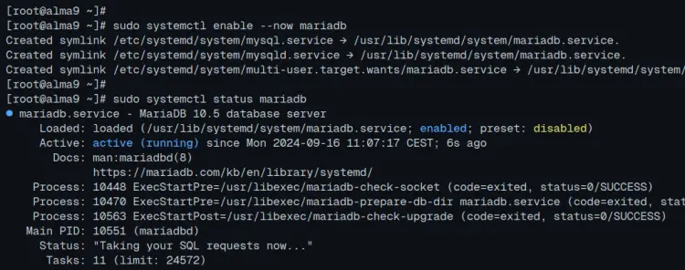 check mariadb