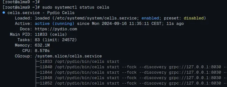 systemd service