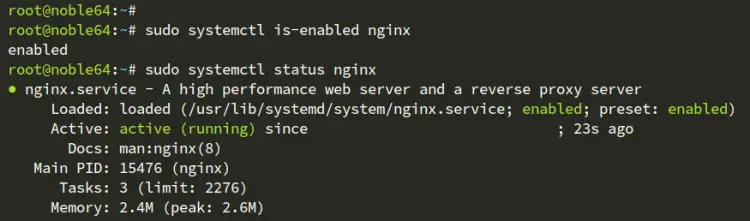 check nginx