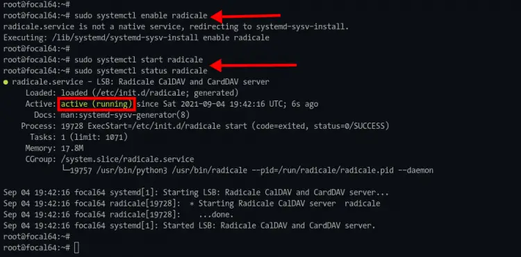 Start and check radicale service status