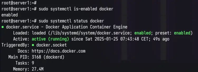 check docker