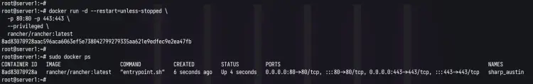 Docker ps check rancher