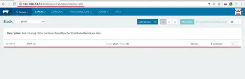Launch docker container