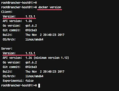 Check docker version on host and node