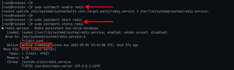 Start and enable redis service