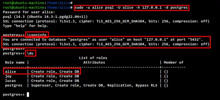 setup roles postgresql